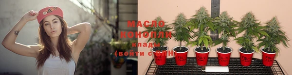 прущие крисы Каменногорск