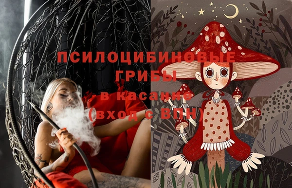 бошки Каменск-Шахтинский