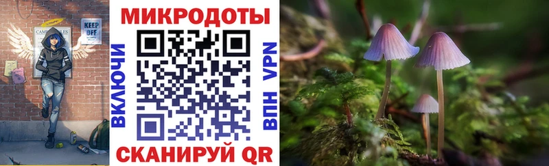 Псилоцибиновые грибы Psilocybine cubensis  Купить где  Дегтярск 
